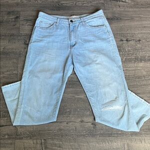 Flying Monkey Light Blue Ankle Jeans